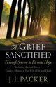 Grief Sanctified, Packer J I