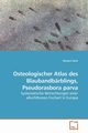 Osteologischer Atlas des Blaubandbrblings, Pseudorasbora parva, Jtte Margrit