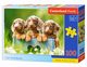Puzzle Cute Dachshunds 100, 