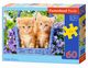 Puzzle 60 Ginger Kittens, 