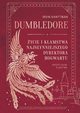 Dumbledore ycie i kamstwa najsynniejszego dyrektora Hogwartu, Khaytman Irvin