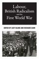 Labour, British radicalism and the First World War, 