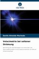 Velocimetrie bei seltener Strmung, Machado Danilo Almeida