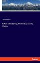 Buffalo Lithia Springs, Mecklenburg County, Virginia, Anonymous