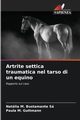 Artrite settica traumatica nel tarso di un equino, M. Bustamante S Natlia