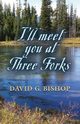 I'LL MEET YOU AT THREE FORKS, Bishop David G.