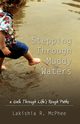 Stepping Through Muddy Waters, McPhee Lakishia R
