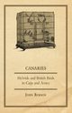 Canaries, Hybrids and British Birds in Cage and Aviary, Robson John