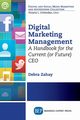 Digital Marketing Management, Zahay Debra