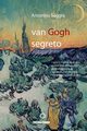 Van Gogh segreto, Saggio Antonino
