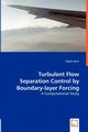 Turbulent Flow Separation Control by Boundary-layer Forcing - A Computational Study, Saric Sanjin