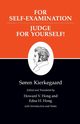 Kierkegaard's Writings, XXI, Volume 21, Kierkegaard S?ren