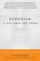 Buddhism Is Not What You Think, Hagen Steve