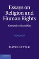 Essays on Religion and Human Rights, Little David