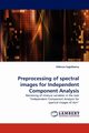 Preprocessing of Spectral Images for Independent Component Analysis, Sagizbaeva Odenna