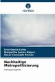 Nachhaltige Metropolitisierung, Garca Lirios Cruz