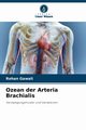 Ozean der Arteria Brachialis, Gawali Rohan