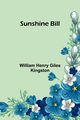 Sunshine Bill, Henry Giles Kingston William