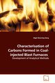 Characterisation of Carbons Formed in Coal-injected Blast Furnaces, Dong Nigel Shanning