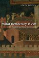 What Democracy Is For, Ringen Stein