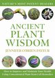 Ancient Plant Wisdom, Payeur Jennifer O'Brien