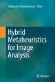 Hybrid Metaheuristics for Image Analysis, 