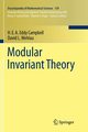 Modular Invariant Theory, Campbell H.E.A. Eddy