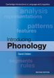 Introducing Phonology, Odden David