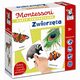 Montessori. Karty sensoryczne. Zwierzta 2+, Dohun Katarzyna