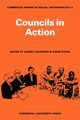 Councils in Action, 