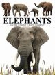 Elephants, Jackson Tom