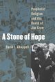 A Stone of Hope, Chappell David L.
