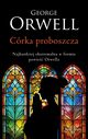 Crka proboszcza (edycja kolekcjonerska), Orwell George