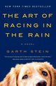 The Art of Racing in the Rain, Stein Garth