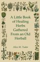 A Little Book of Healing Herbs Gathered From an Old Herball, Tudor Alice M.