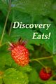 Discovery Eats!, Voyages Discovery