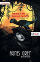 Agnes Grey and Journey to the Centre of the Earth, Bronte Anne and Verne Jules