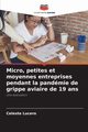 Micro, petites et moyennes entreprises pendant la pandmie de grippe aviaire de 19 ans, Lucero Celeste
