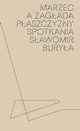 Marzec a Zagada paszczyzny spotkania, Burya Sawomir