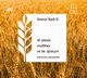 W szkole modlitwy ze w. Ignacym Audiobook, Wsik Seweryn