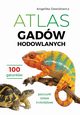Atlas gadw hodowlanych, Dawidowicz Angelika