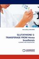 GLUTATHIONE S-TRANSFERASE FROM Hevea brasiliensis, SAIFUDDIN Nomanbhay