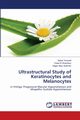 Ultrastructural Study of Keratinocytes and Melanocytes, Youssef Sahar