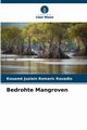 Bedrohte Mangroven, Kouadio Kouam Juslain Romaric