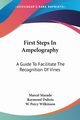 First Steps In Ampelography, Mazade Marcel