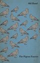 The Pigeon Fancier, Hand Old