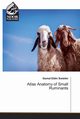 Atlas Anatomy of Small Ruminants, Swielim Gamal Eldin