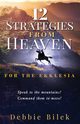 12 STRATEGIES FROM HEAVEN, Bilek Debbie