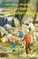 The Happy Hollisters and the Mystery of the Midnight Trolls, West Jerry