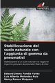 Stabilizzazione del suolo naturale con l'aggiunta di gomma da pneumatici, Pandia Ya?ez Edward Jimmy